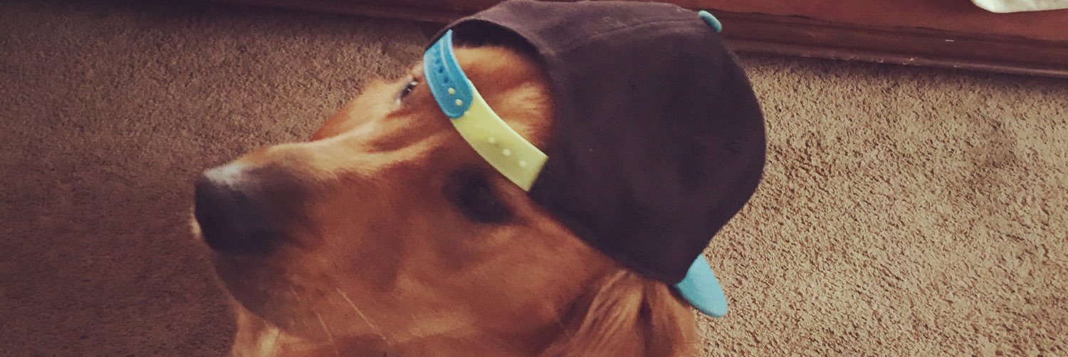 devinbrucie's profile banner image