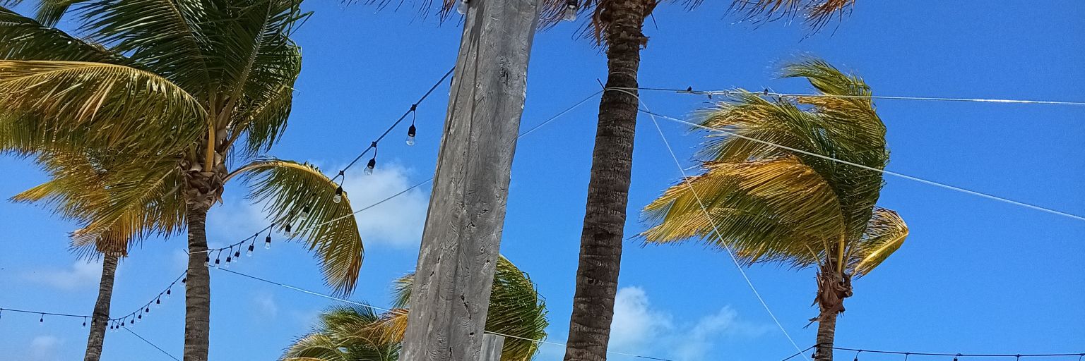 Michael Benko banner