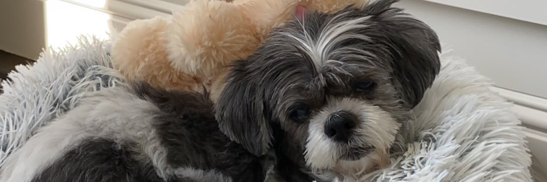 NikkiLucca's profile banner image