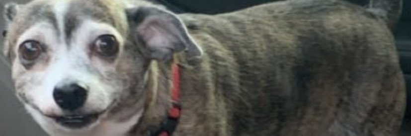 AlanJMata's profile banner image