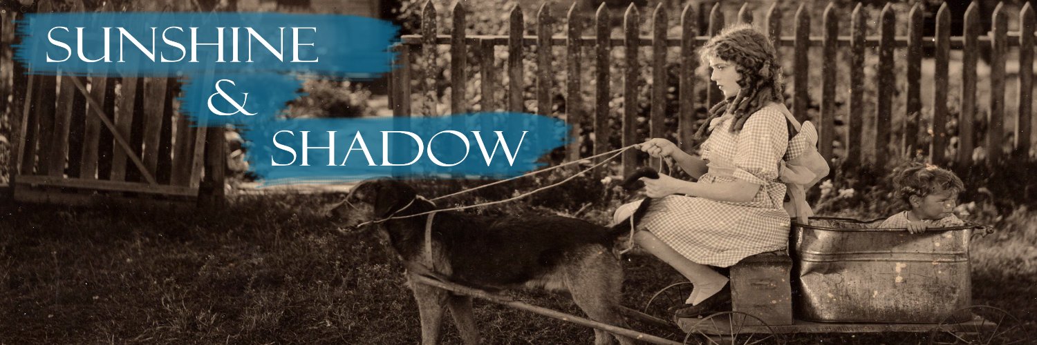 Sunshine & Shadow's banner