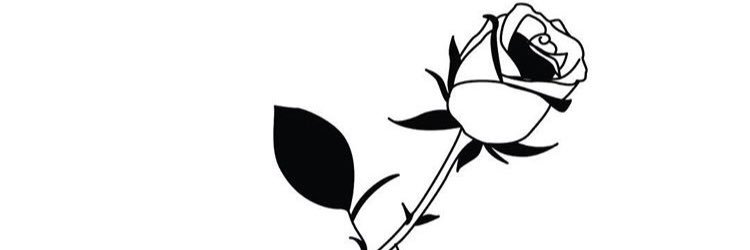 stephanisixx's profile banner image