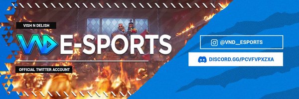 _VND_ESPORTS Profile Banner