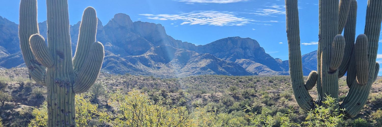 El Azul - El Quijote Tejano🌵's banner