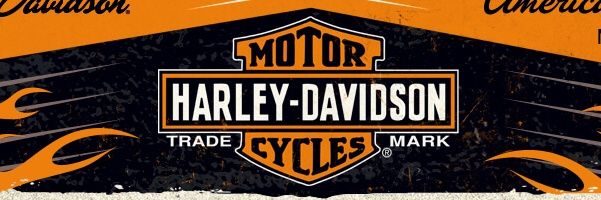 𝚁𝚊𝚏𝚊 𝙳𝚒𝚊𝚣. banner