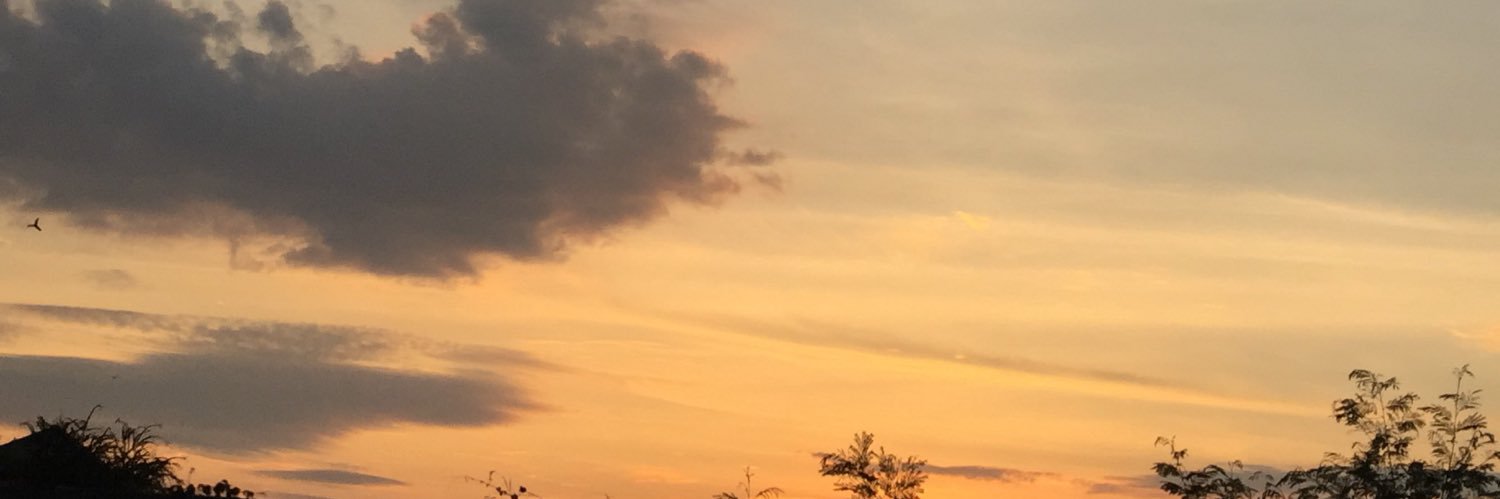 cho_fira's profile banner image