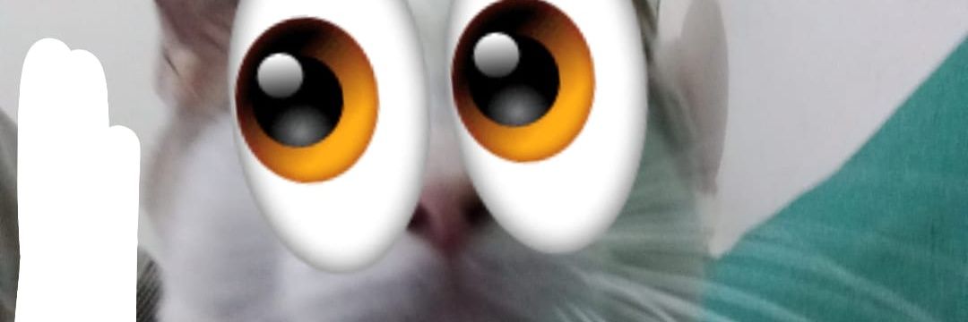 Aleyyyyyyyxd's profile banner image