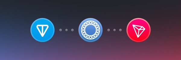 mytonwallet_io Profile Banner