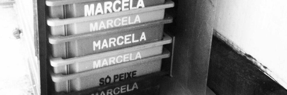 marceladantes's profile banner image