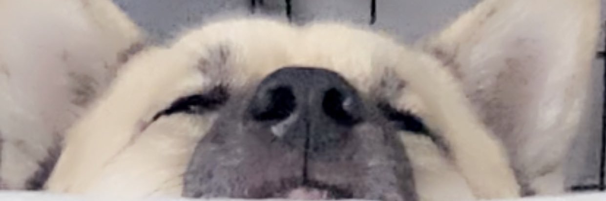 osra_'s profile banner image