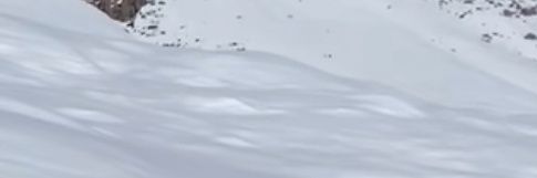 ☆⏤͟͟͞͞ℝeambu𝔾.🫧's banner