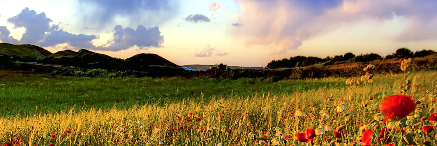 sugengwidadi's profile banner image
