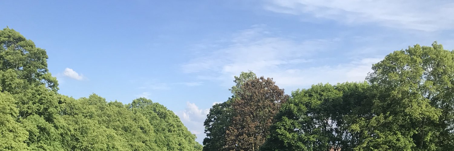 dmobin's profile banner image