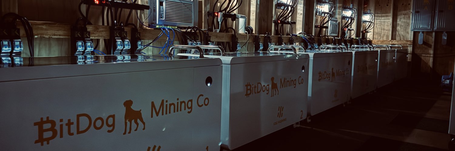 BitDog Mining Co banner