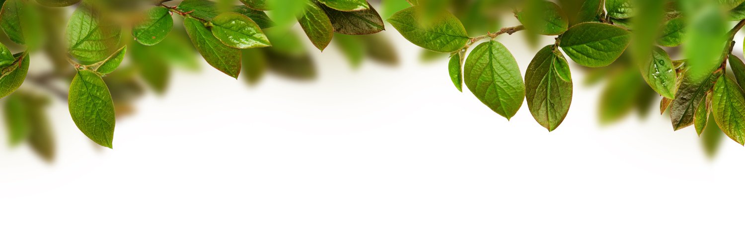 Cafe Little Forest-リトルフォレスト banner