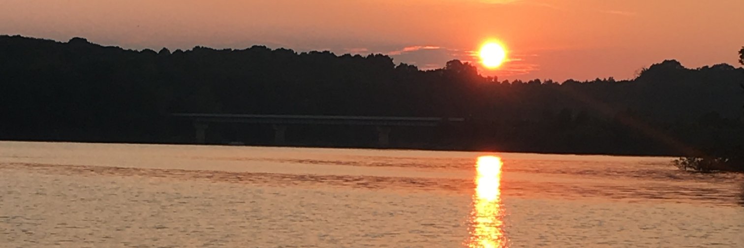 staceybiggs's profile banner image
