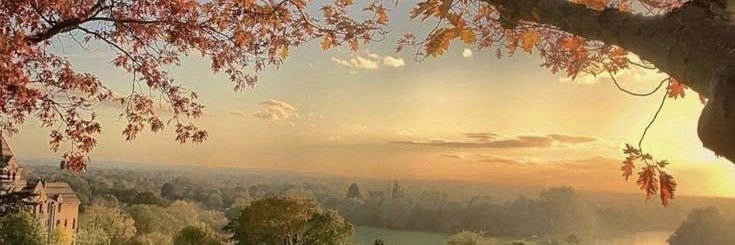 maisie (🍯🌙) banner
