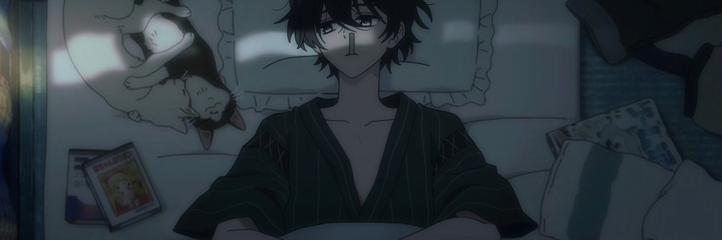 bd3333333bd's profile banner image