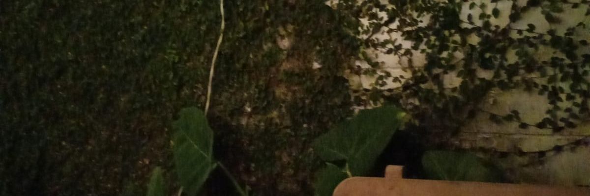 e_stiven_n's profile banner image