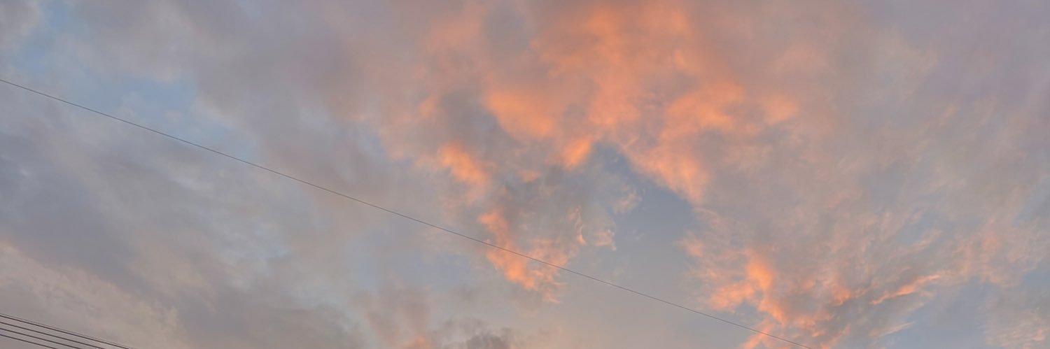 scallivedo's profile banner image