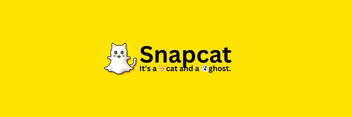 Snapcat banner