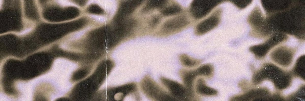 dilla🦫🍦 banner