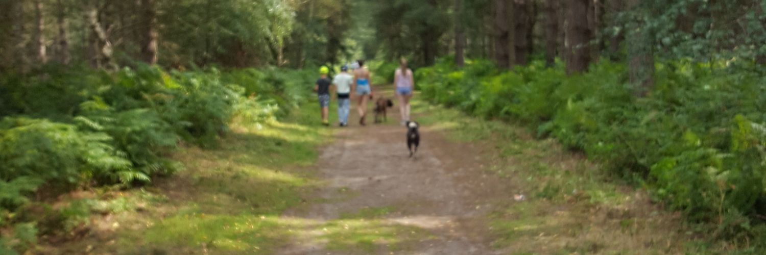 speedwaycat's profile banner image