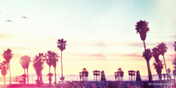 alexaug12's profile banner image