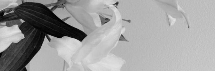 silveours's profile banner image