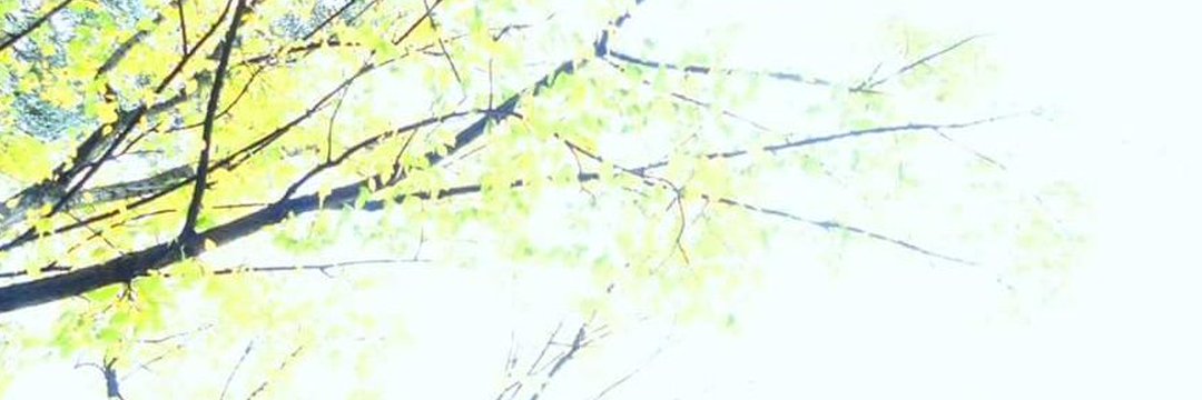 Shu-Ling Chua  蔡淑羚 banner