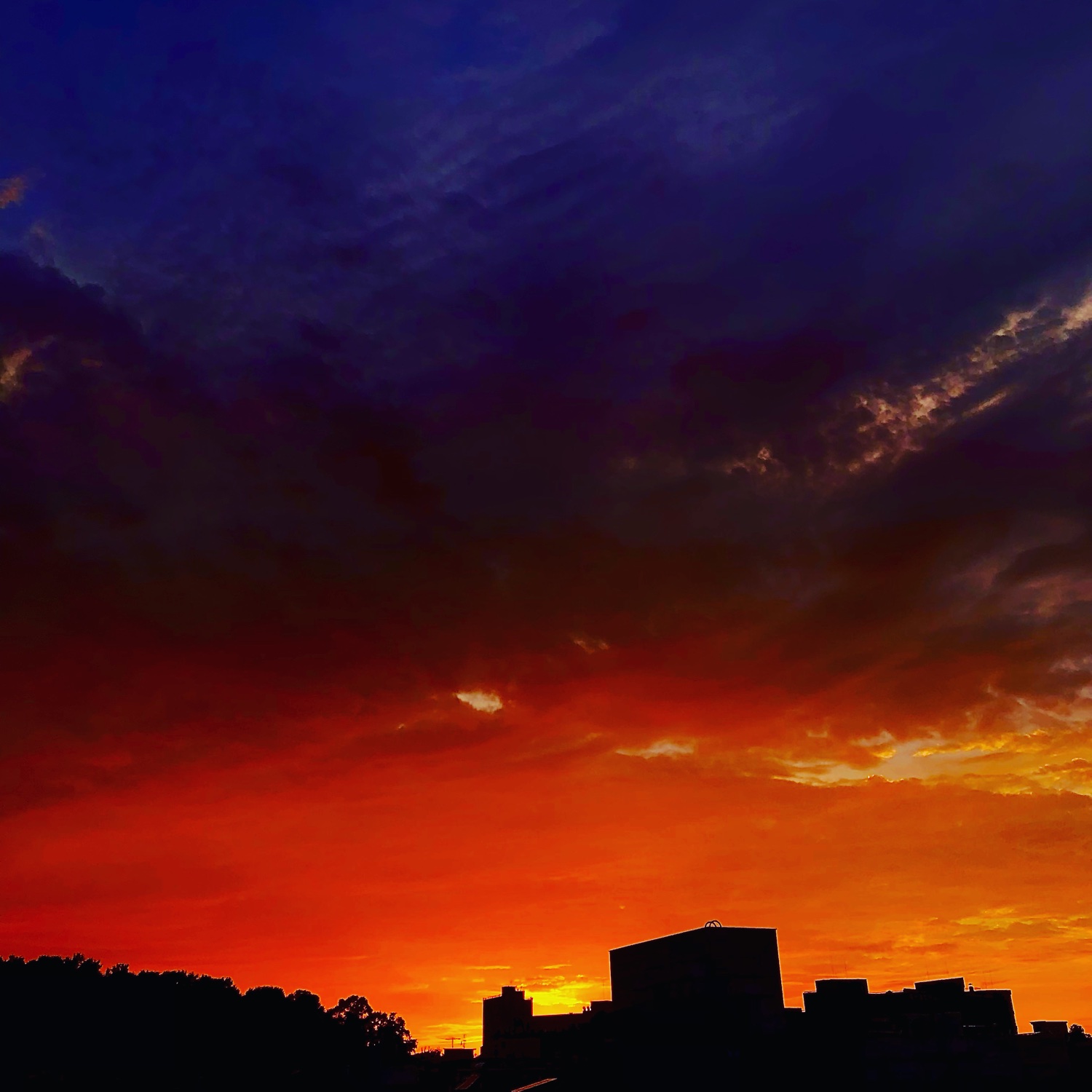 redgamja's profile banner image