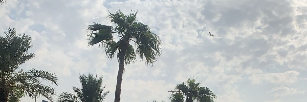 1Thebestversion's profile banner image