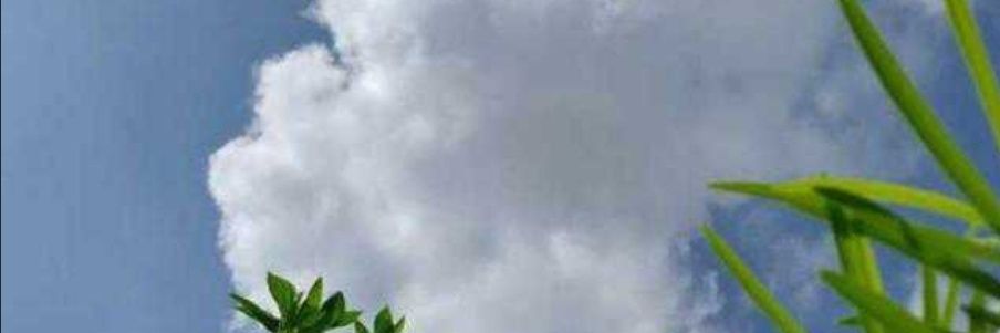 khinghemjay banner