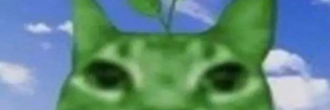 Ayy Mao banner
