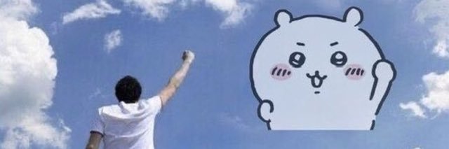 rin's banner