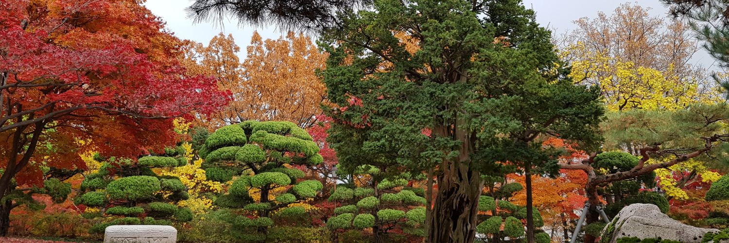 gyuwoncho's profile banner image