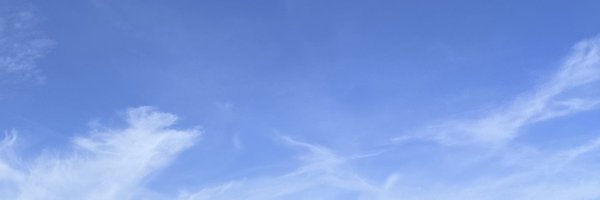 turnt4PF Profile Banner