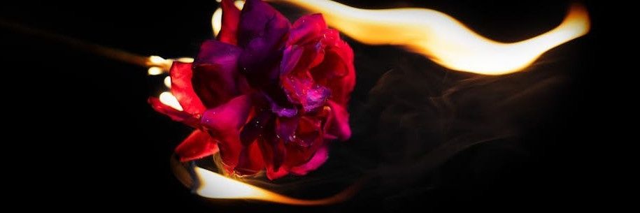 The Scorpio Rising Survival Guide banner