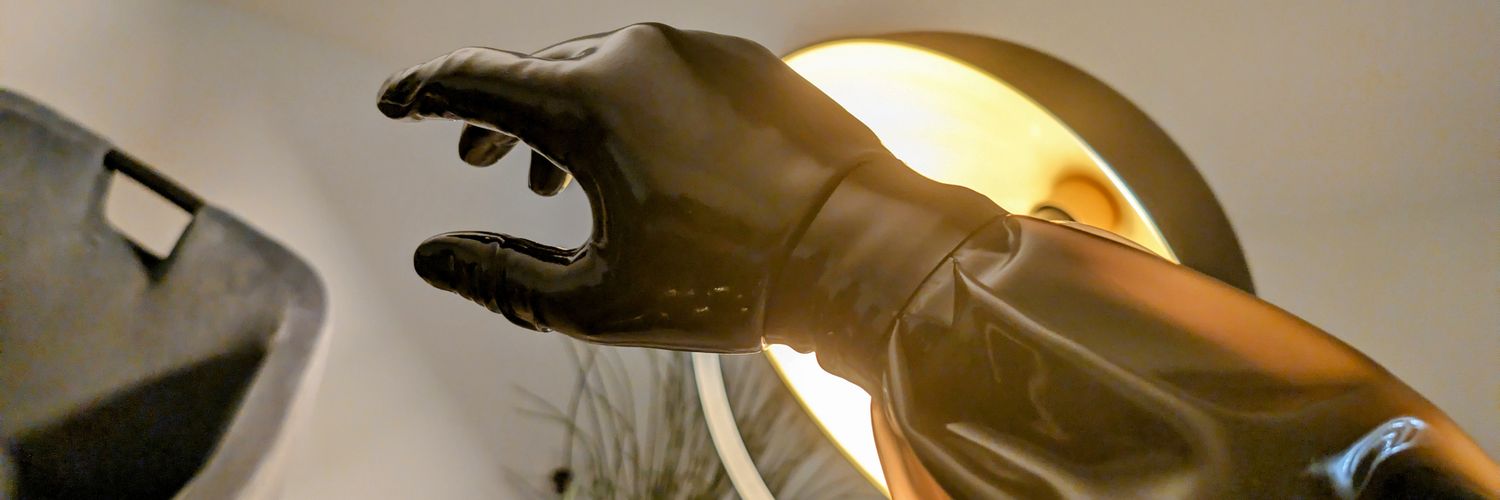 Sofia Rubberdoll banner