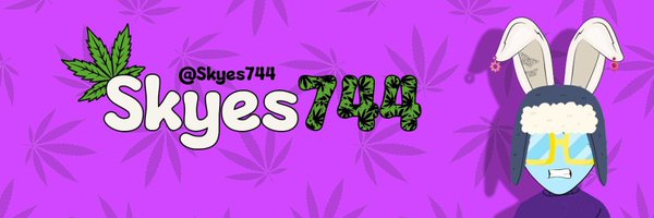 Skyes744 Profile Banner