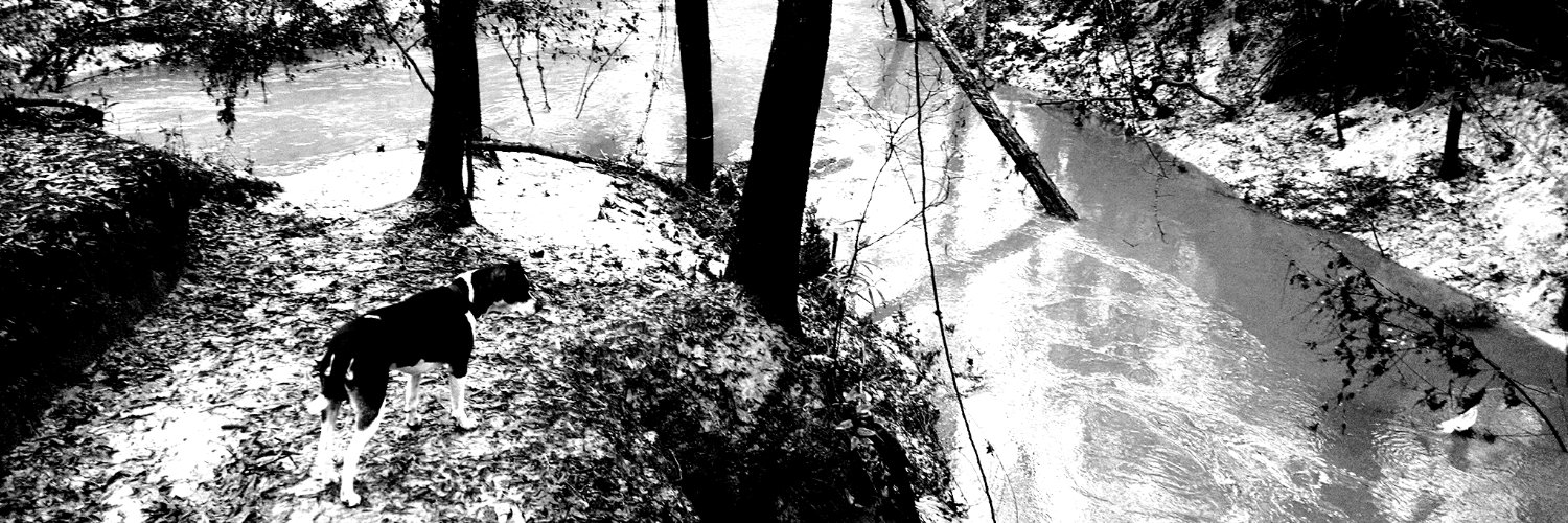 joeblackcreek's profile banner image