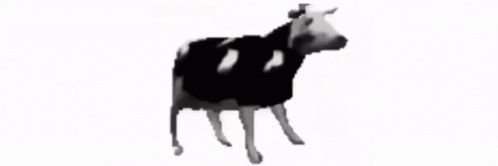 Lavander💜 (Myung-hoon #1 fan) banner