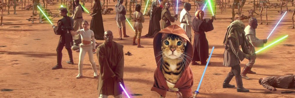 ObiCat banner
