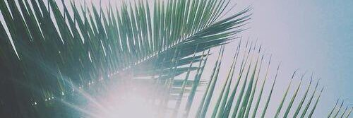 Corey_Yates's profile banner image
