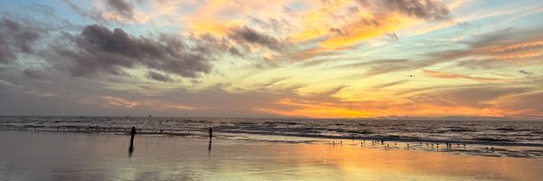 0xrais Profile Banner