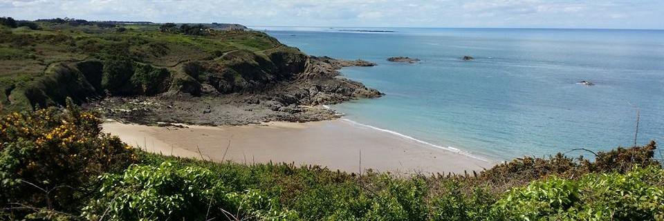 FLE_BRETAGNE's profile banner image