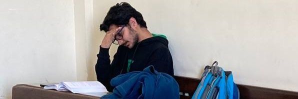 Pepe the frog banner