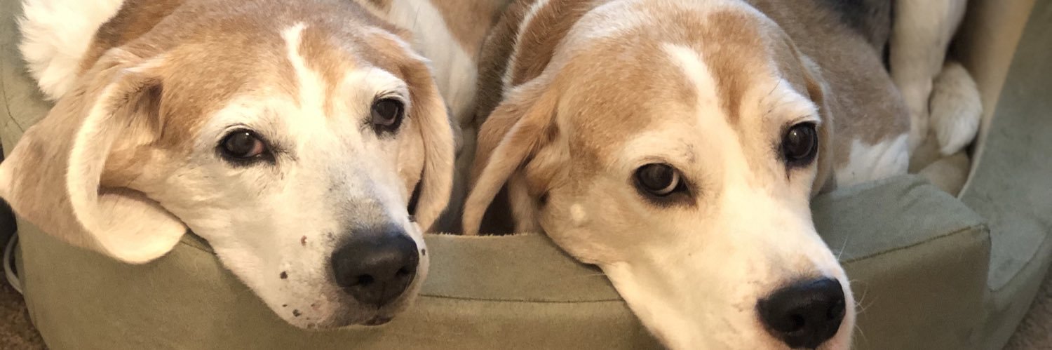 Bobby B-Right banner