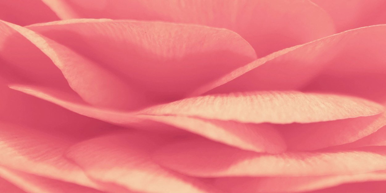 MishDuryea's profile banner image