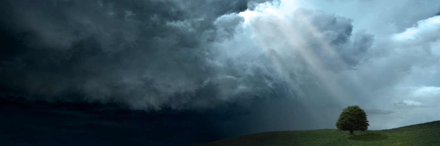 cheeseliao's profile banner image